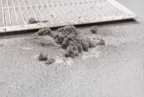 Best Duct Cleaning for Offices  in Williston Highlands, FL
