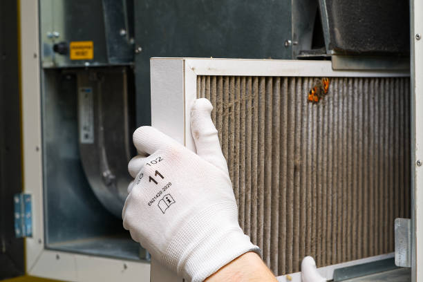 Best Air Duct Cleaning Near Me  in Williston Highlands, FL