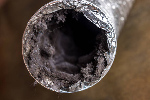 Best Home Air Vent Cleaning  in Williston Highlands, FL