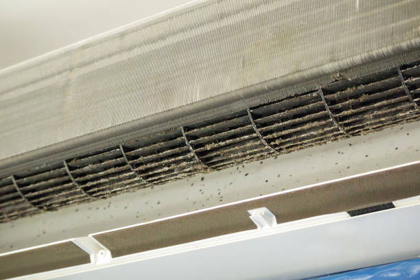 Affordable HVAC Duct Cleaning in Williston Highlands, FL